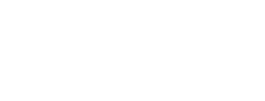 wellday logo